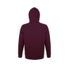 Толстовка унисекс с капюшоном SNAKE 280, худи с логотипом, свишоты с нанесением, толстовки с логотипом, мерч толстовки