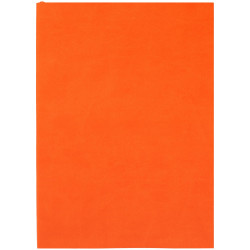 Ежедневник Flat Light, недатированный